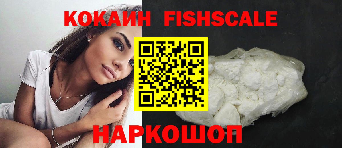 Cocaine Fish Scale  купить  цена  Северобайкальск  Вход с VPN 