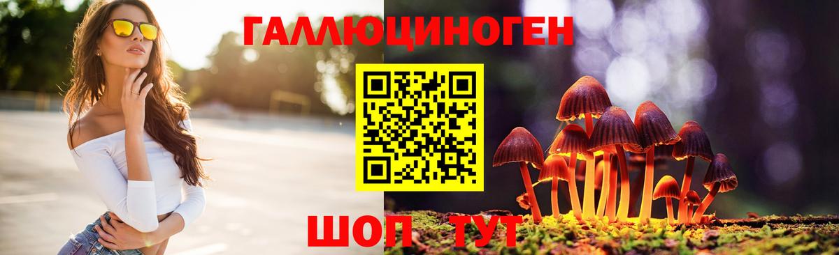 Северобайкальск  закладки  Вход с VPN  Псилоцибиновые грибы мухоморы 